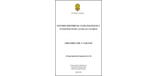 manuscrito08