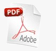 Icono descarga PDF