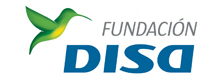 fundaciondisa